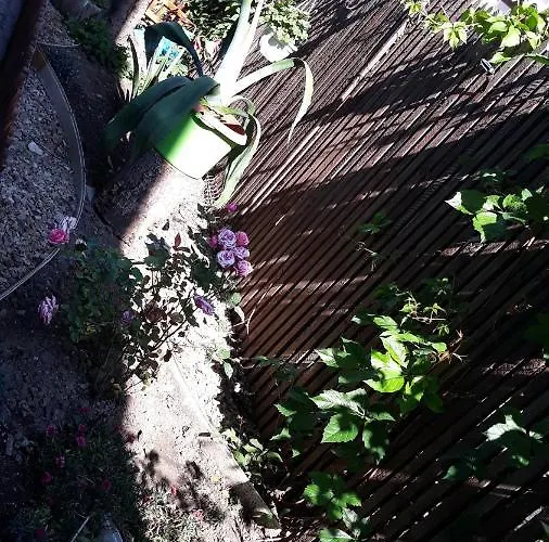 西尔维娅旅馆 2* 艾福雷诺德