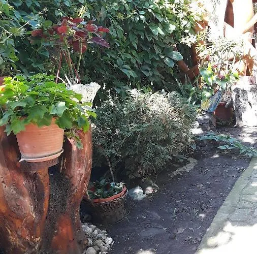 招待所 西尔维娅旅馆 2*