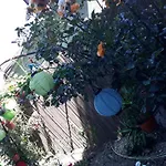 Casa Silvia Casa de hóspedes 2*
