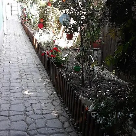 Casa Silvia 2* エフォリエ・ノルド