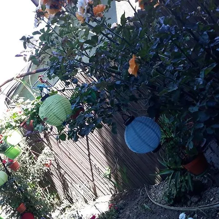 Casa Silvia Konukevi 2*