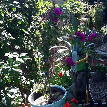 Casa Silvia Guest house 2*