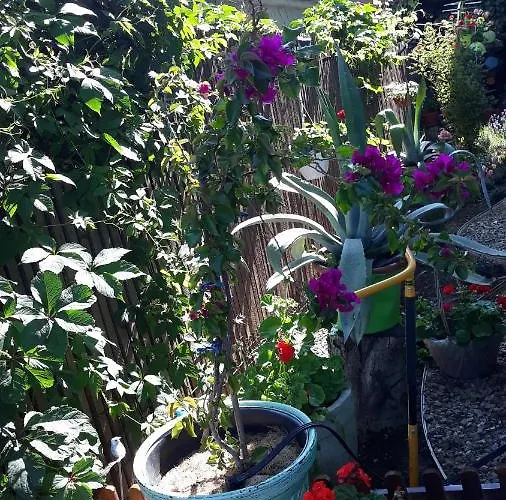 Casa Silvia Guest house 2*